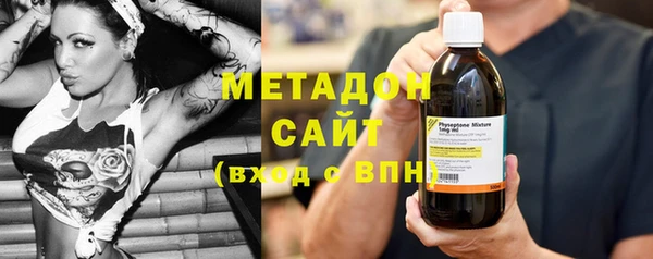 прущие грибы Алзамай