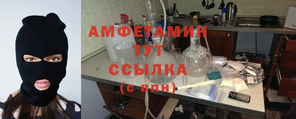 ешки Алексин