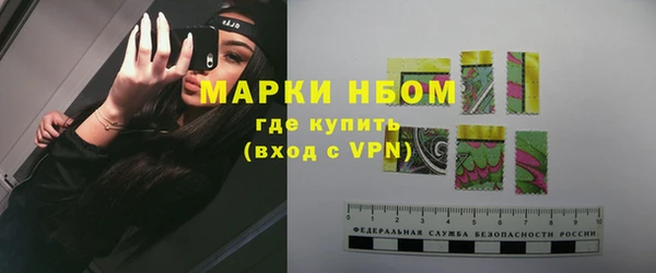 прущие грибы Алзамай
