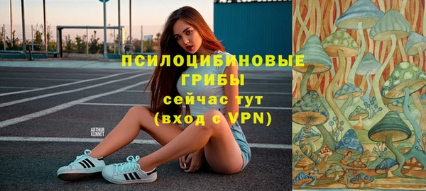 mix Алексеевка