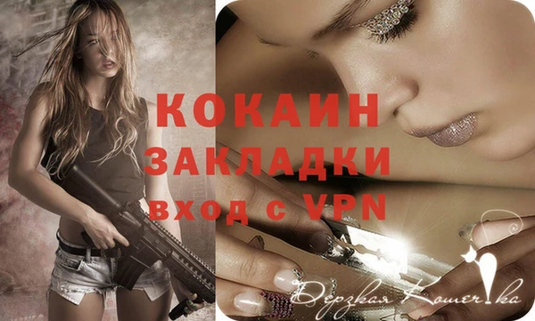 ешки Алексин