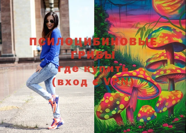 ешки Алексин