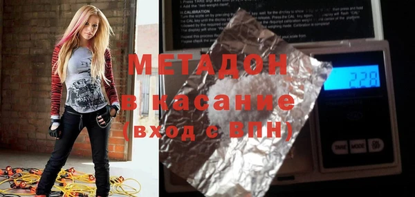 прущие грибы Алзамай