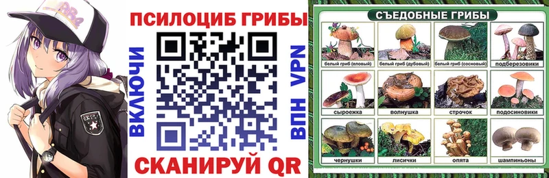 это телеграм  даркнет сайт  Заинск  Галлюциногенные грибы прущие грибы 